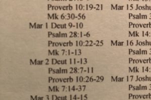 Reading the Bible in a Year
