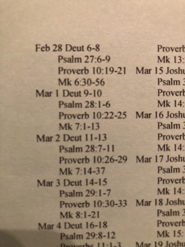 Reading the Bible in a Year